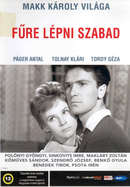 fure-lepni-szabad