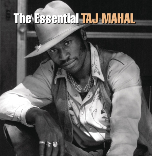 taj-mahal-the-essential